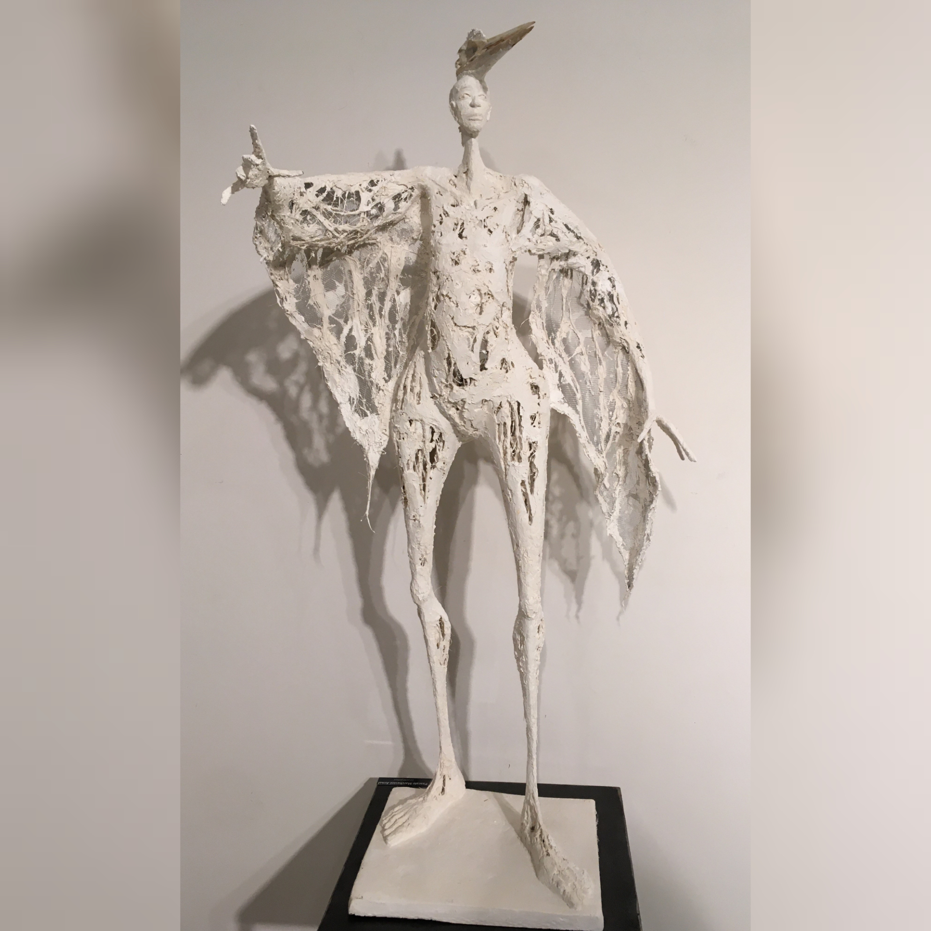 L’Oiseau-Roi couronné