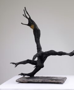 Oiseau homme