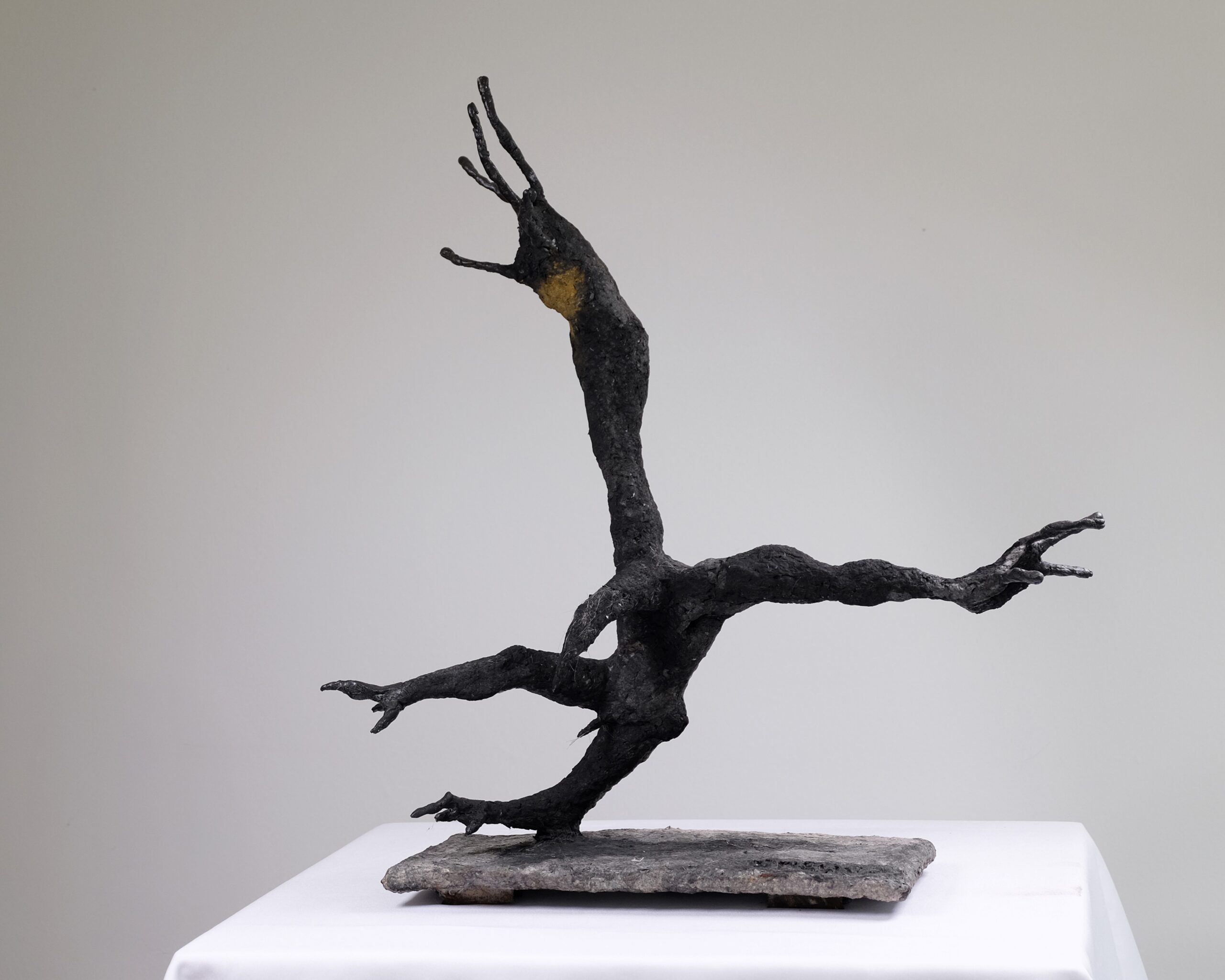 Oiseau homme